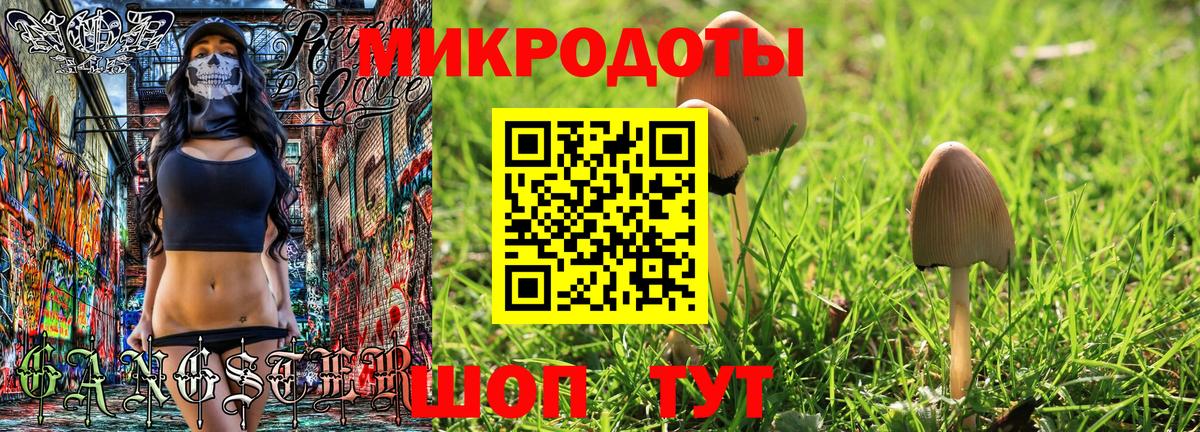 Псилоцибиновые грибы ЛСД Тамбов