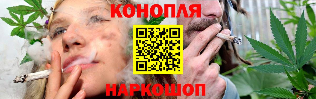 Бошки марихуана тримм  Конопля ГИДРОПОН  Тамбов  Вход с VPN  Бошки Шишки Bruce Banner 